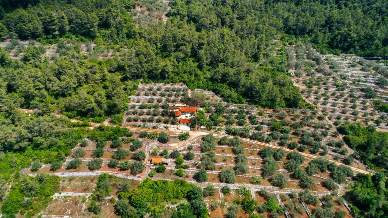 Holiday Home Liberan Vela Luka Exterior foto
